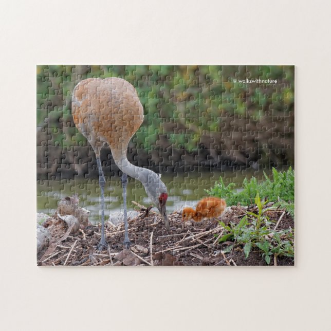 Greater Sandhill Crane Vater und Kind Puzzle (Horizontal)