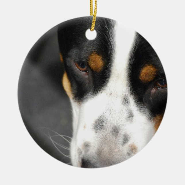 greater-swiss-mountain-dog-1.jpg keramikornament (Vorne)