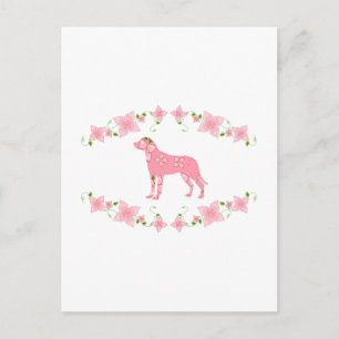 Greater Swiss Mountain Dog Postkarte