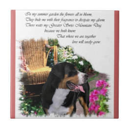 Greater Swiss Mountain Dog Summer Garden Fliese