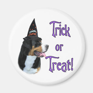Greater Swiss Mountain Dog Trick Magnet
