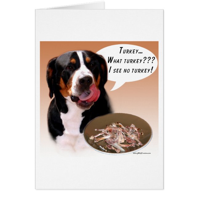 Greater Swiss Mountain Dog Türkei (Vorne)