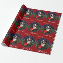 Greater Swiss Mountain Dog Weihnachten