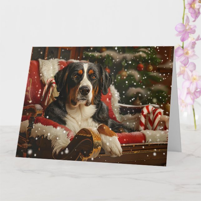 Greater Swiss Mountain Dog Weihnachten Karte (Orchidee)