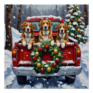 Greater Swiss Mountain Dog Weihnachten Roter LKW Poster