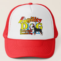 Greater Swiss Mountain Hund Agility