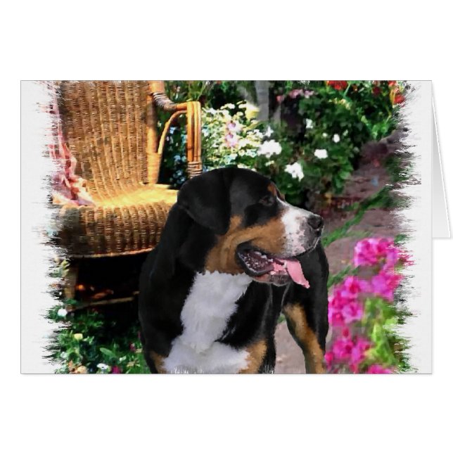 Greater Swiss Mountain Hund Kunstgiesserei (Vorderseite (Horizontal))