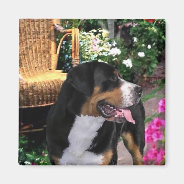 Greater Swiss Mountain Hund Kunstgiesserei Magnet (Vorne)