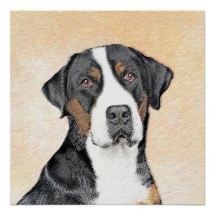 Greater Swiss Mountain Hunde Malerei - Originelle  Poster