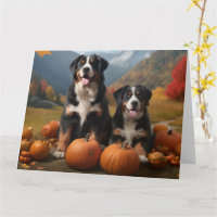 Greater Swiss Mountain Pup Herbstfreude Kürbis