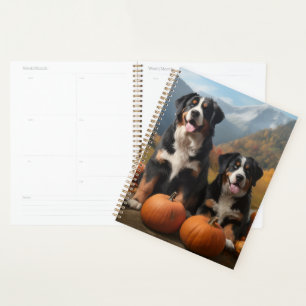 Greater Swiss Mountain Pup Herbstfreude Kürbis Planer