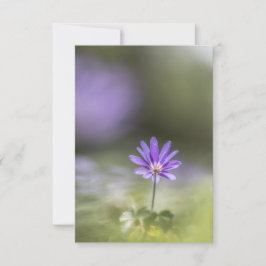 Grecian windblume Nature Foto Karte