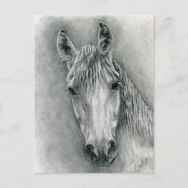 Greco Postkarte (Vorderseite)