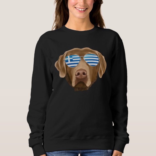 Greek Flag Chesapeake Bay Retriever Dog Greece Poc Sweatshirt (Vorderseite)