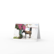 GreekIslandHouse.com-Esel-Maskottchen Opa!