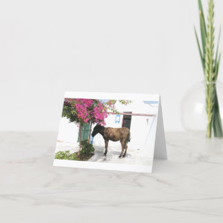 GreekIslandHouse.com-Esel-Maskottchen Opa! Karte
