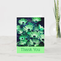 Green African Daisies Floral Vielen Dank Karte