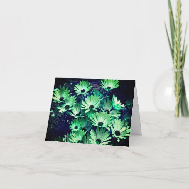Green African Daisy Blume Note Card Dankeskarte (Vorderseite)