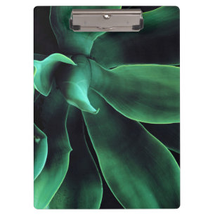 Green Agave Attenuata Klemmbrett