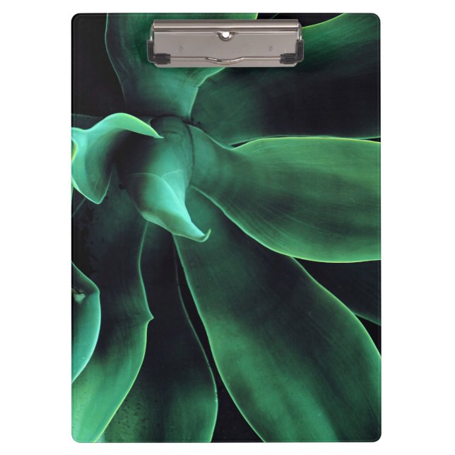 Green Agave Attenuata Klemmbrett (Vorderseite)