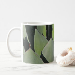 Green Agave Blätter Botanisches Foto Südwesten Kaffeetasse
