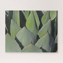 Green Agave Blätter Botanisches Foto Südwesten Puzzle
