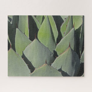 Green Agave Blätter Botanisches Foto Südwesten Puzzle