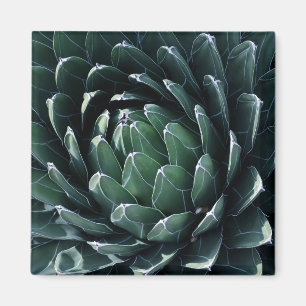 Green Agave Magnet