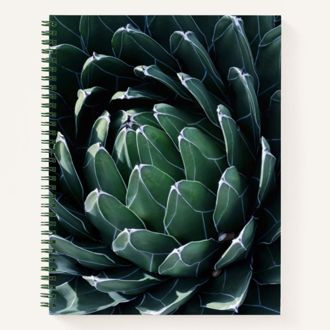 Green Agave Notizbuch (Vorderseite)