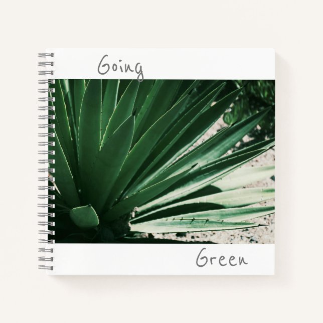Green Aloe Succulent Pflanze Notebook Notizbuch (Vorderseite)