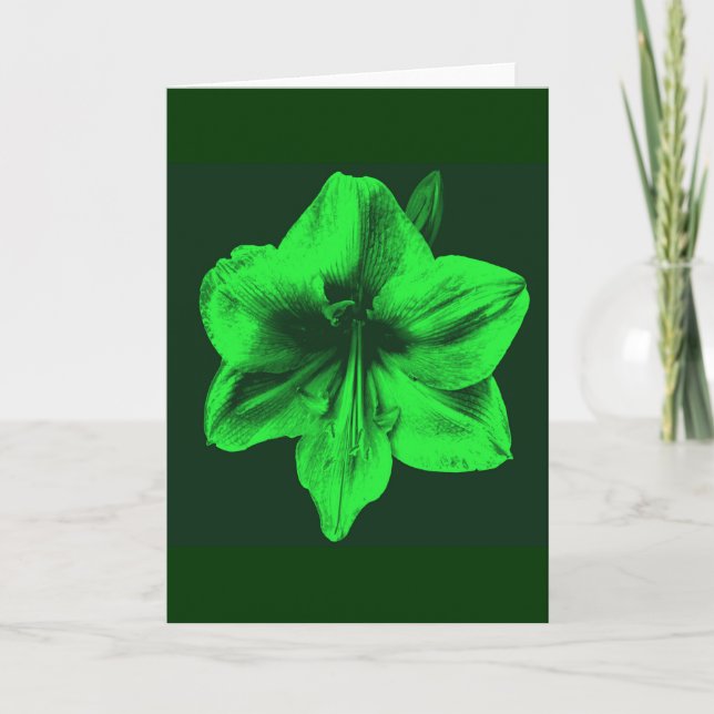 Green Amaryllis Karte (Vorderseite)