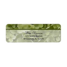 Green Annabelle Hydrangea Blume Rücksendeadresse