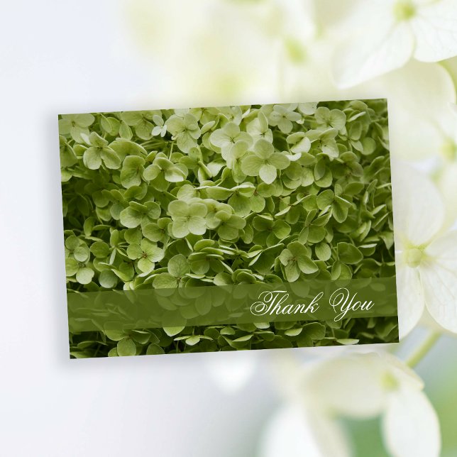 Green Annabelle Hydrangea Floral Vielen Dank Postkarte (Von Creator hochgeladen)