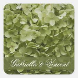 Green Annabelle Hydrangea Floral Wedding Quadratischer Aufkleber