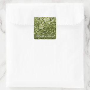 Green Annabelle Hydrangea Floral Wedding Quadratischer Aufkleber
