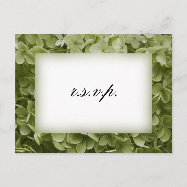Green Annabelle Hydrangea Wedding RSVP Einladungspostkarte (Vorderseite)