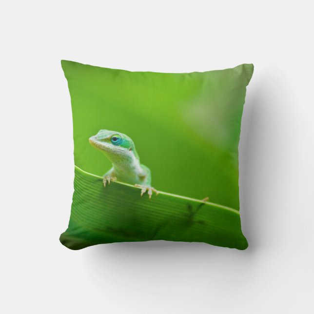Green Anole Lizard-Begegnung Kissen (Vorderseite)