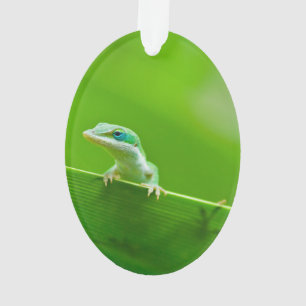 Green Anole Lizard-Begegnung Ornament