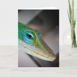 Green Anole Lizard Karte