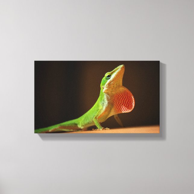 Green Anole Lizard mit Red Thraot Leinwanddruck (Vorderseite)