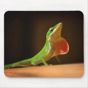 Green Anole Lizard mit Red Thraot Mousepad