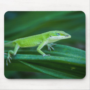 Green Anole Lizard Mousepad