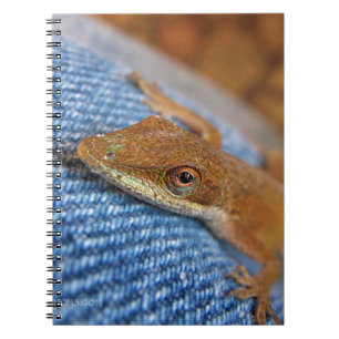 Green Anole Lizard Notizblock