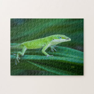 Green Anole Lizard Puzzle