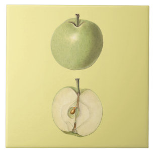 Green Apple Botanical Tile ~ Küche ~ Farbe ~ Fliese