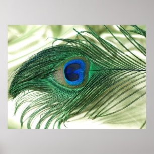 Green Apple Peacock Sill Life Poster