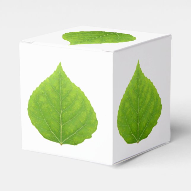 Green Aspen Leaf #11 Geschenkschachtel (Vorderseite)