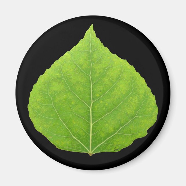 Green Aspen Leaf #11 Magnet