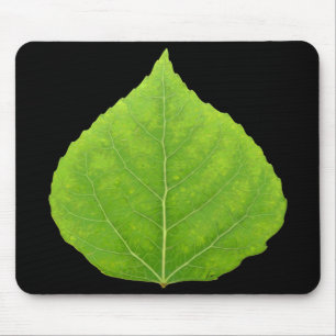 Green Aspen Leaf #11 Mousepad