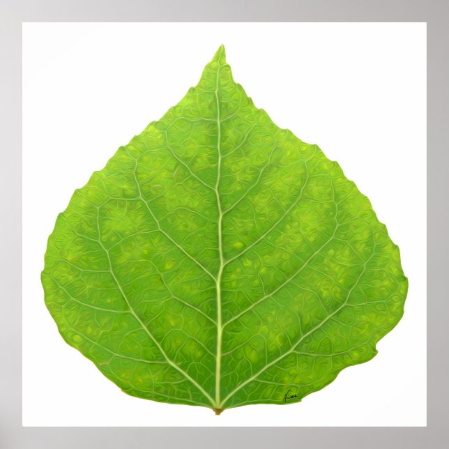 Green Aspen Leaf #11 Poster (Vorne)